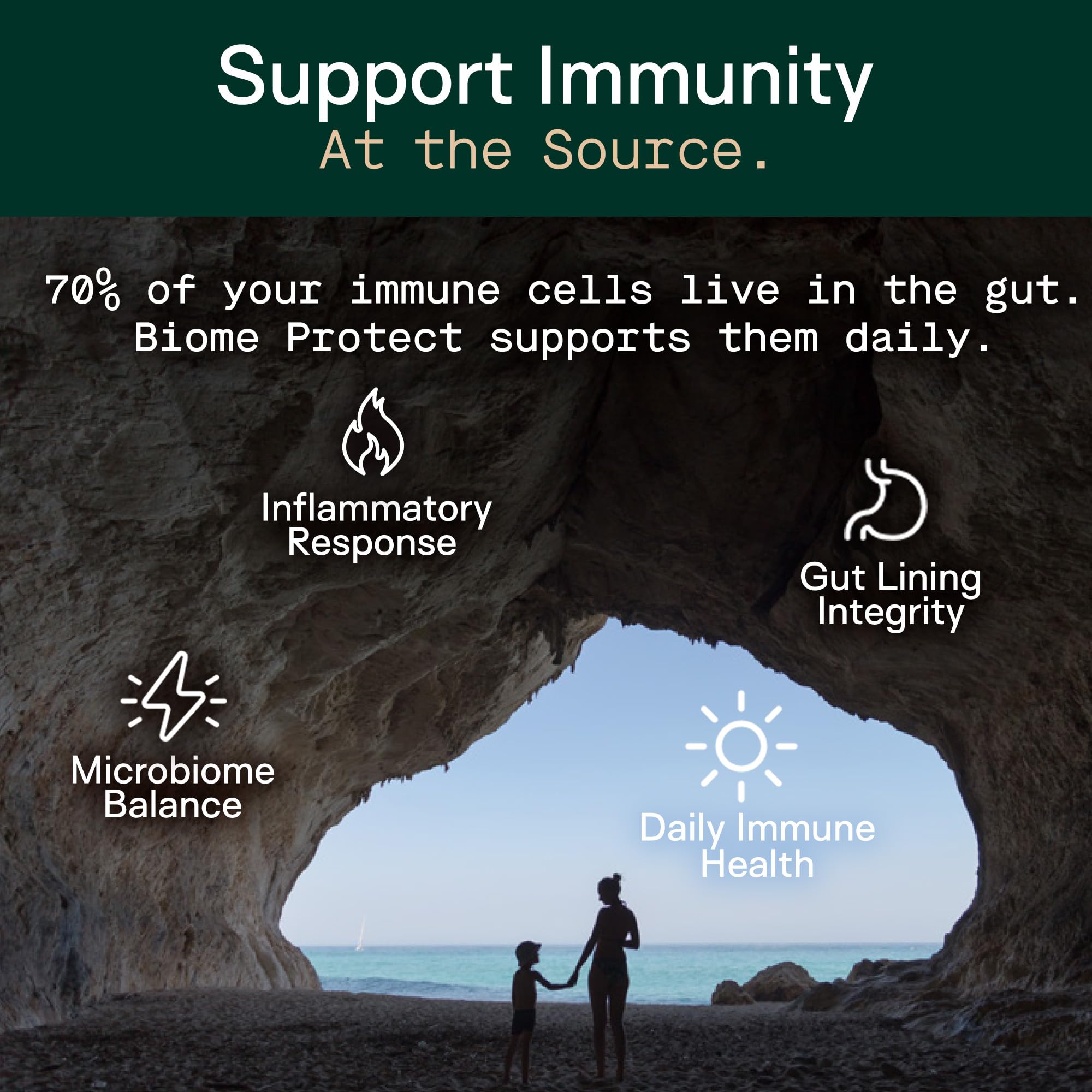 Probiotic culture within Adapt Naturals 4-in-1 for gut diversity support.