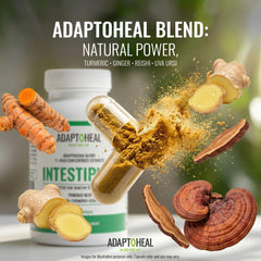 ADAPTOHEAL Intestiplus botanicals blend image spotlights 12-actives support