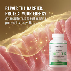 ADAPTOHEAL Intestiplus capsules close-up conveys premium texture and daily routine.