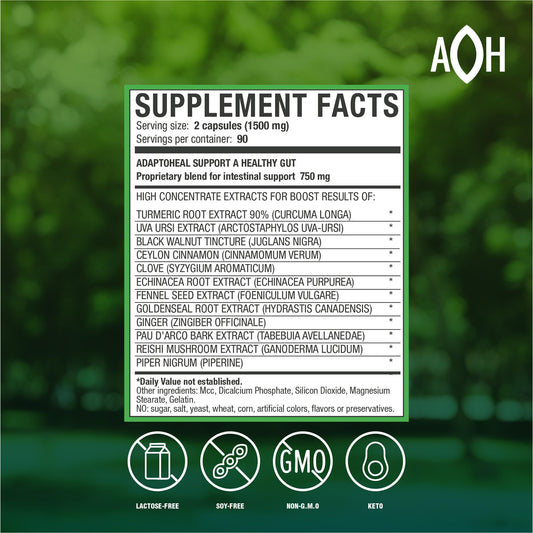 ADAPTOHEAL Intestiplus capsules daily dose close-up highlights convenient digestive care.