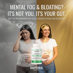 ADAPTOHEAL Intestiplus reishi-mushroom feature hints at calm gut balance