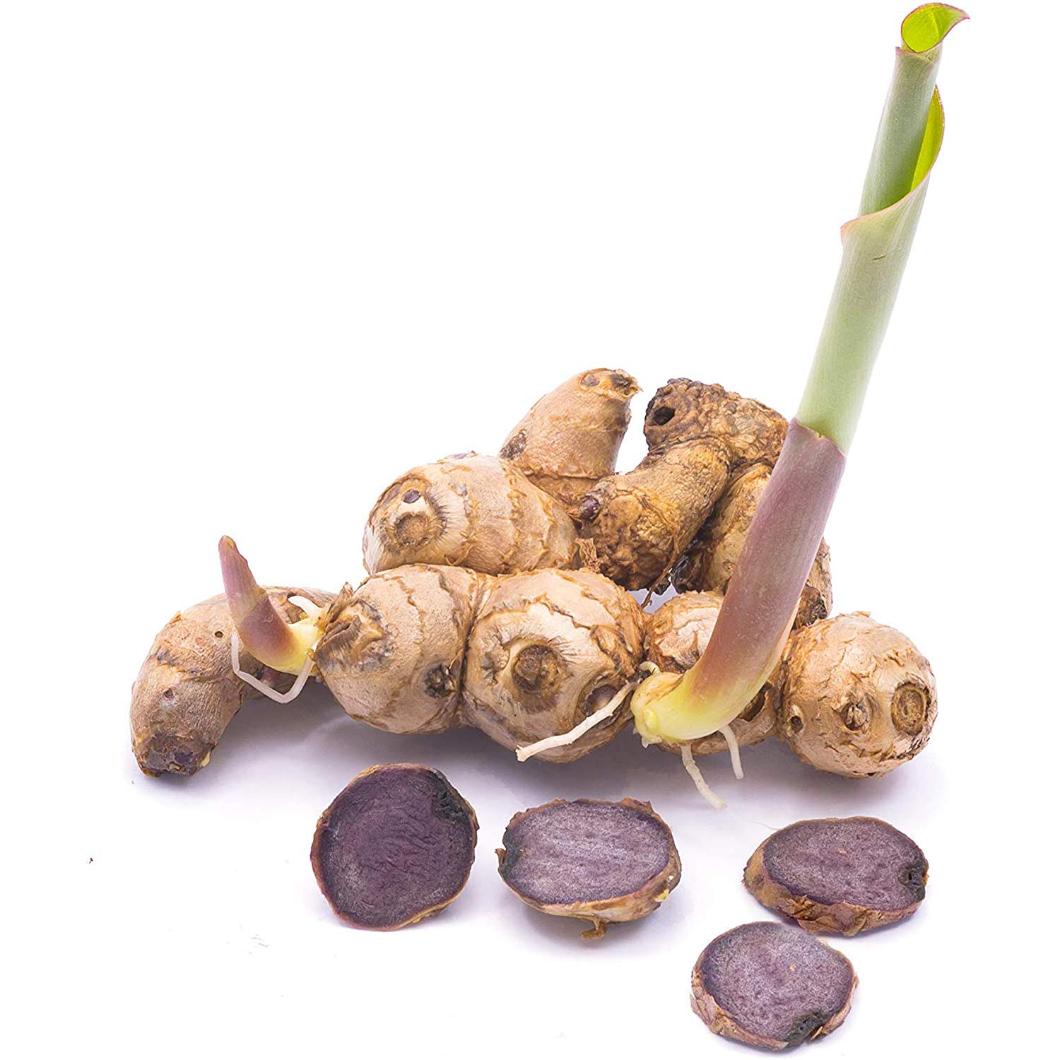 Addictive Wellness athlete ready for training uses Black Ginger.
