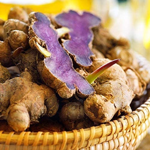 Addictive Wellness ingredients panel hints at clean, no fillers formula.