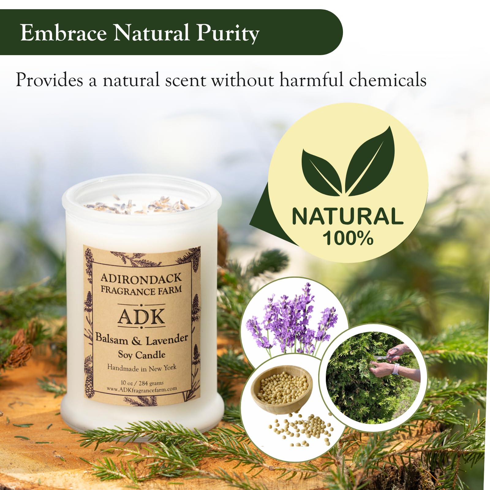 Soy wax candle closeup showing smooth surface and clean burn