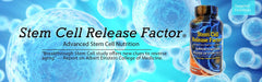 ADN Stem Cell Release Factor features highlight advanced nutrition for stem cell migration support