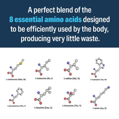 Close-up of amino blend ingredients highlighting essential nutrients for muscle support