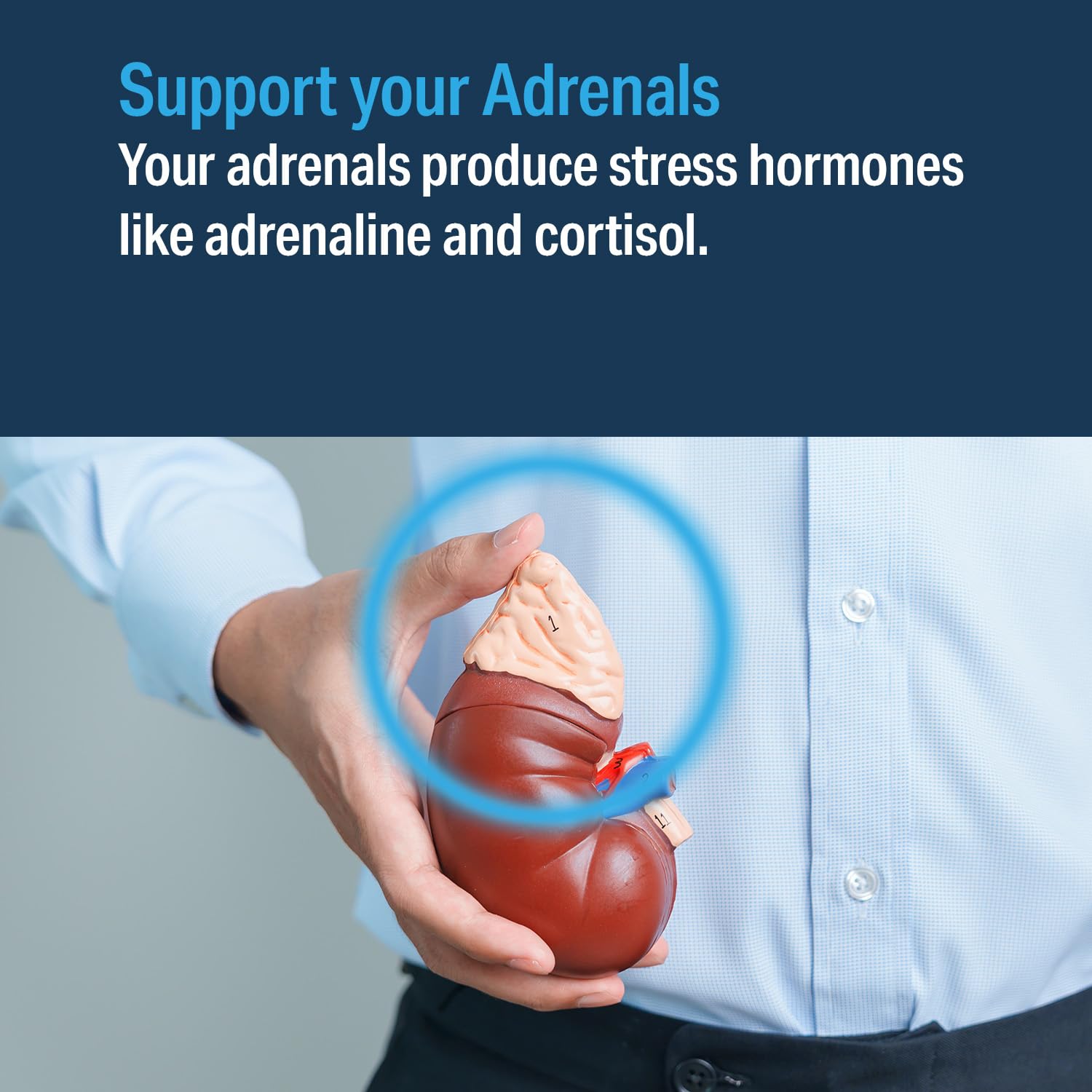 Advanced Bionutritionals pantothenic acid capsules for hormone balance support.