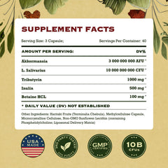 AdvantageNutra women-friendly probiotic scene showcasing daily routine.