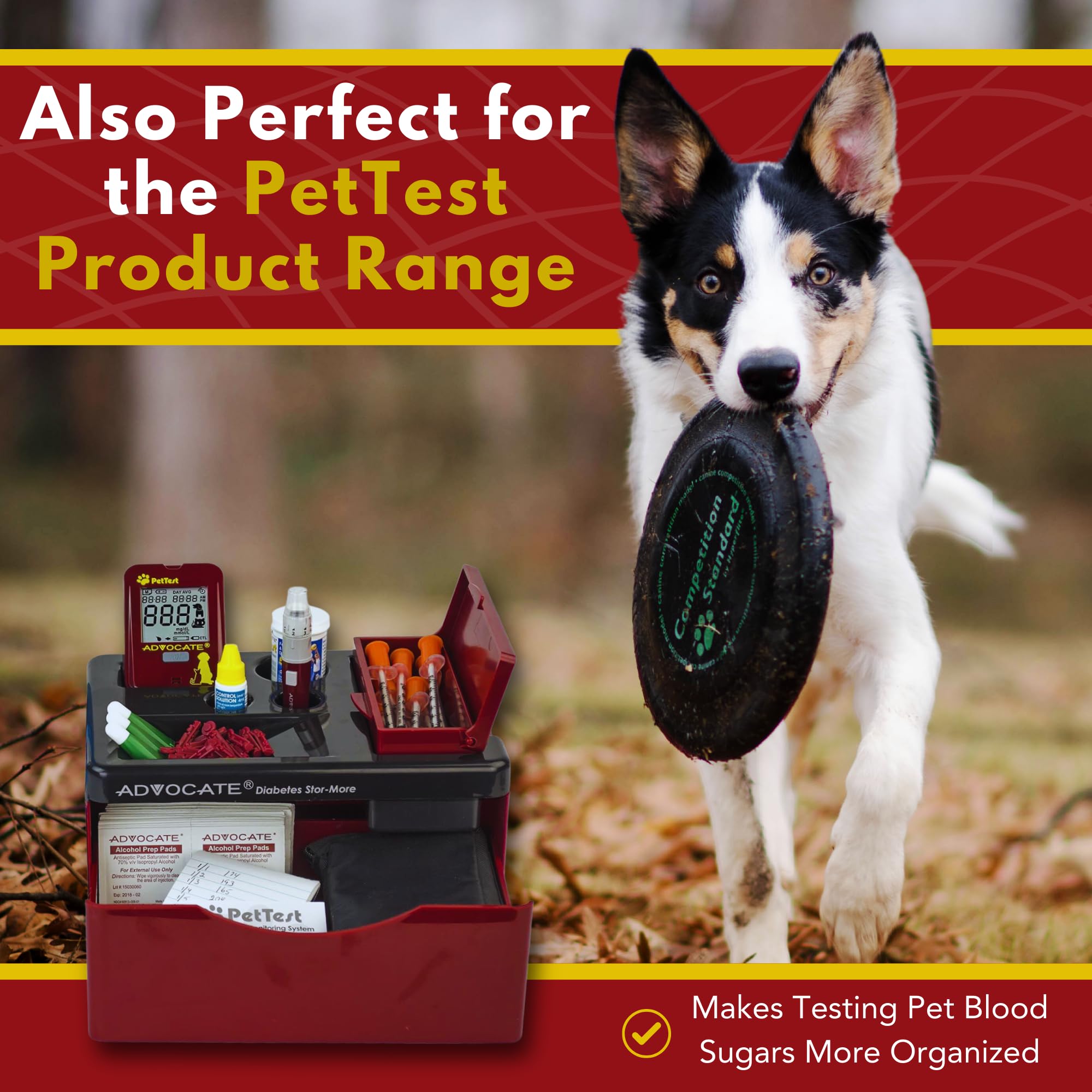 Advocate glucose meter kit sits securely with essentials in a centralized space.