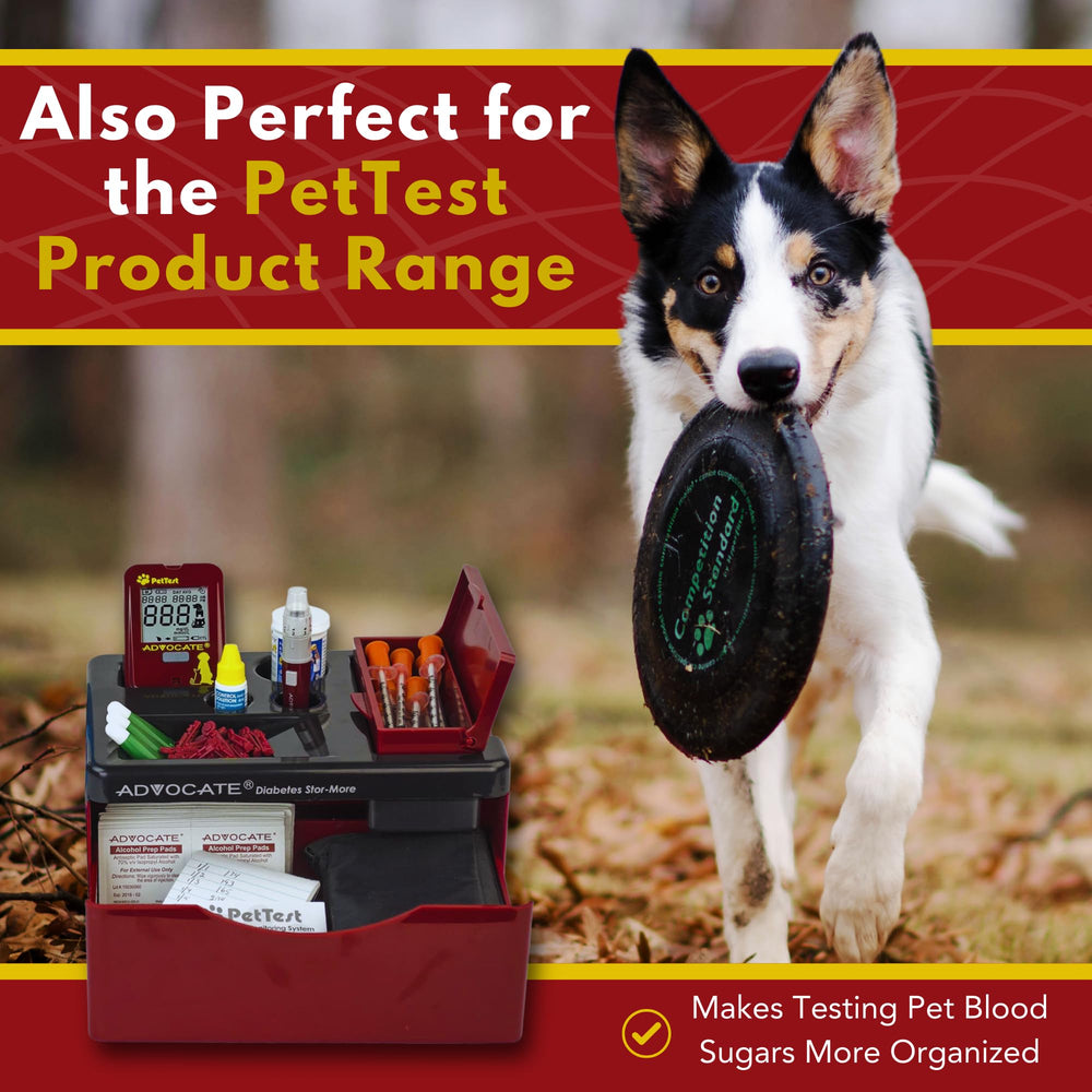 Advocate glucose meter kit sits securely with essentials in a centralized space.