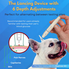 Advocate PetTest 25 lancets prepared for precise sample collection.