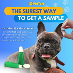 Advocate PetTest carrying case keeps gear organized during travel.