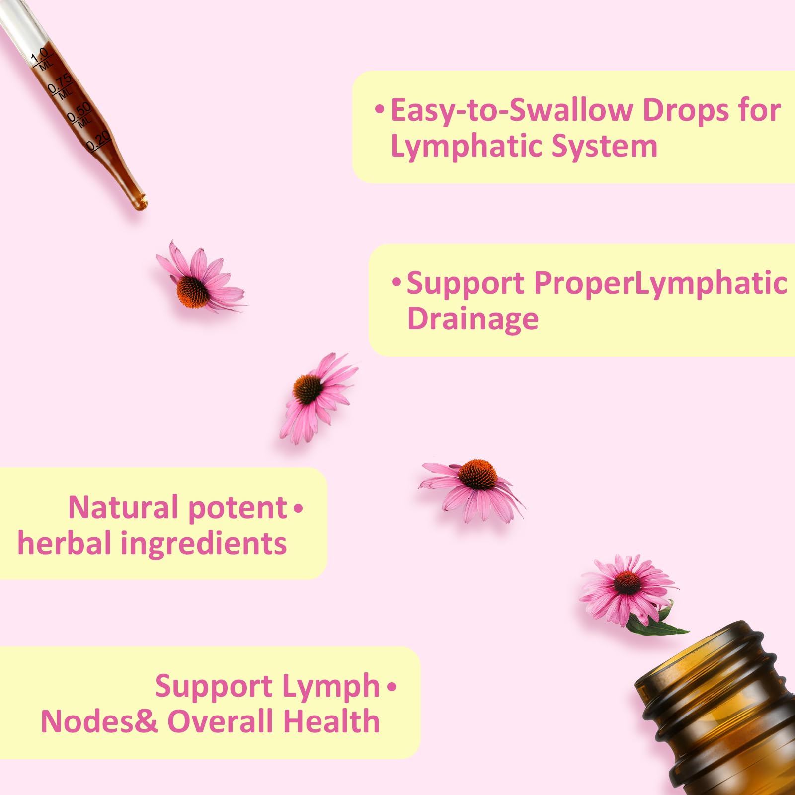Illustrated 12-herb formula behind the Aegisvital lymphatic drops.