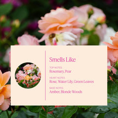 AERA Flower Shop refill image shows long-lasting aroma for living spaces.