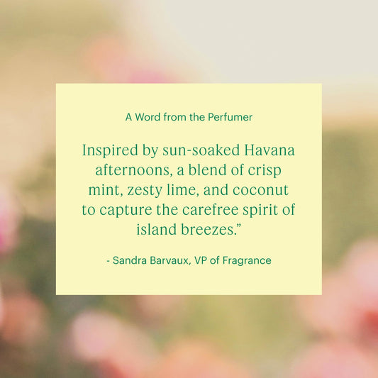 Aera Havana Breeze diffuser capsule designed for full-size diffusers delivering balanced scent
