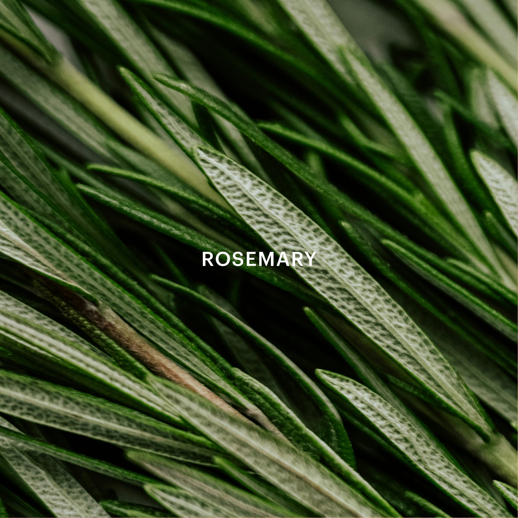 AERA long-lasting fragrance can endure up to two months