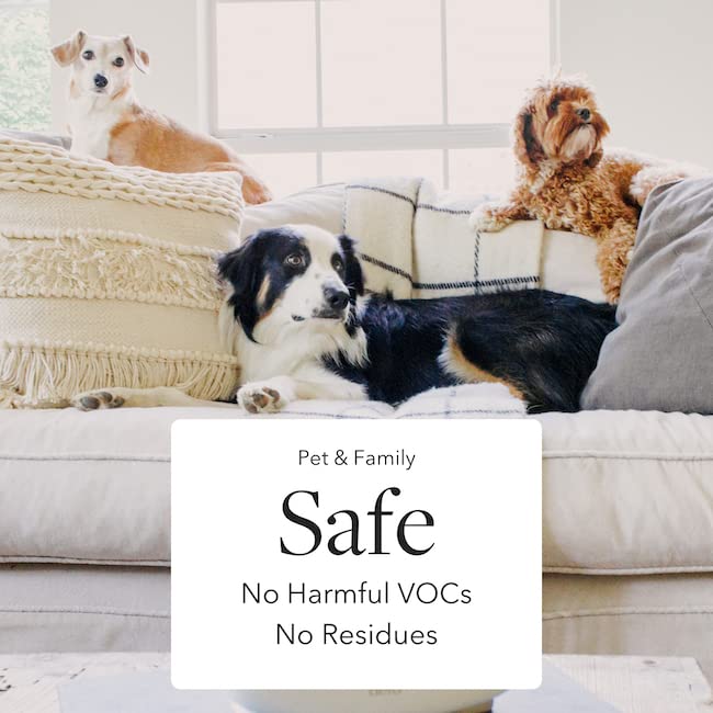 Aera mini hypoallergenic formula safe for family and pets.