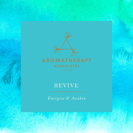 Aera Revive mini diffuser assembly ready for steady scent in cozy spaces.