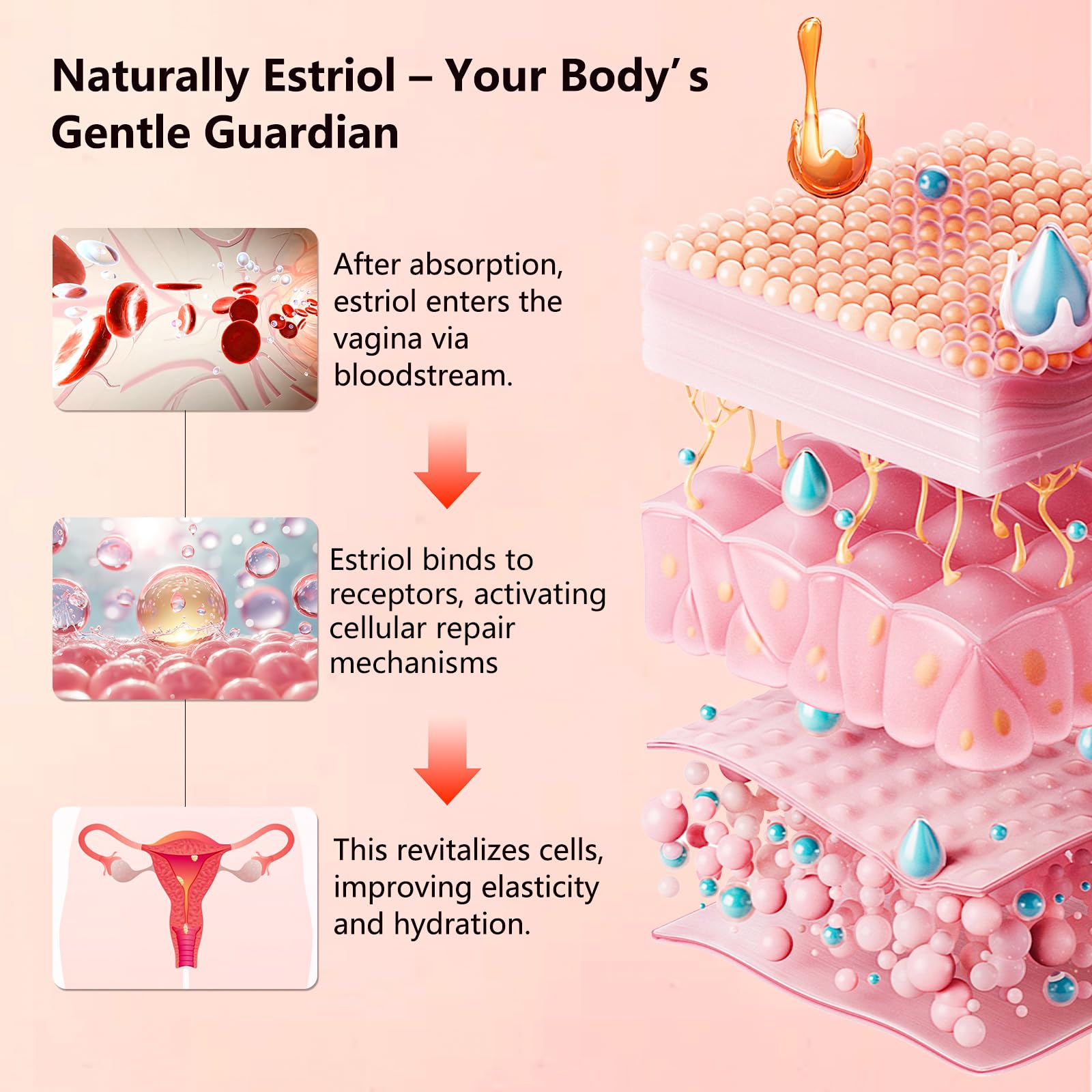 Aeryea Estriol cream vulvar application demonstrates targeted comfort for sensitive areas.