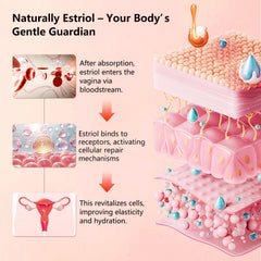 Aeryea Estriol cream vulvar application demonstrates targeted comfort for sensitive areas.