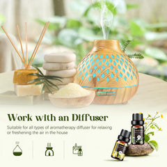 Aeshory Eucalyptus essential oil bottle for refreshing ambience and energy.