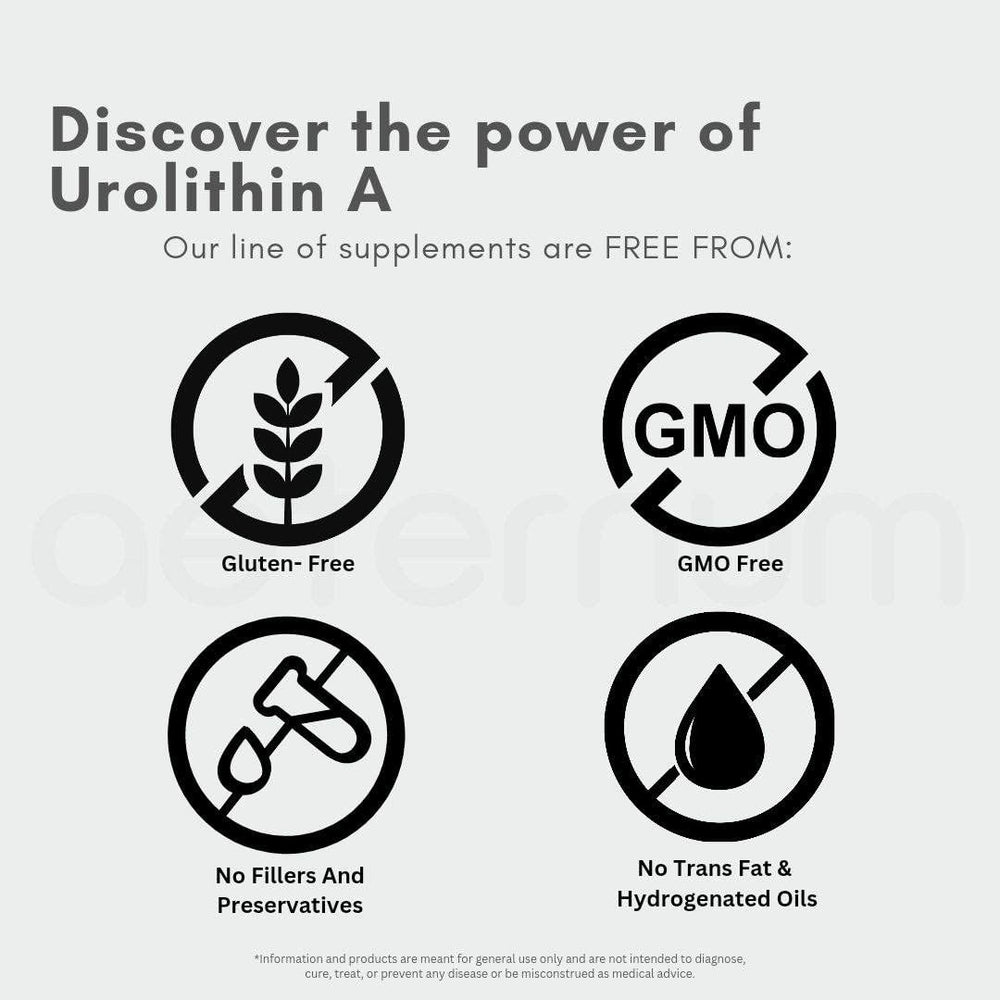 Aeternum UA capsule closeup highlights pure Urolithin A, additive-free.