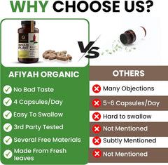 Afiyah Organic Costus Igneus capsules closeup highlights plant-based ingredients for a simple wellness routine.