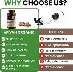 Afiyah Organic Costus Igneus capsules pack closeup highlighting neutral taste