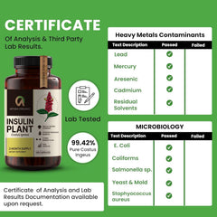 Afiyah Organic Costus Igneus capsules pour captures quick, mess-free serving during busy mornings.