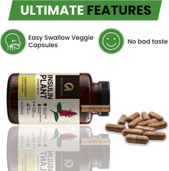 Afiyah Organic Costus Igneus health-guide image presents a complete wellness program.