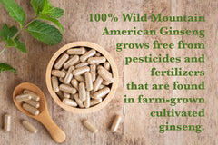 AG 100 capsules in hand illustrate convenient daily wellness
