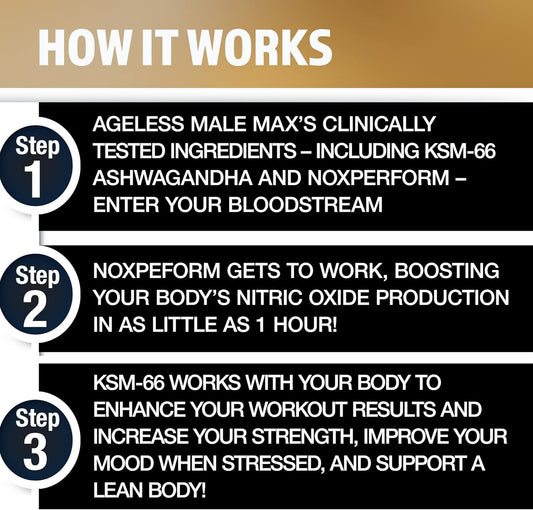 Ageless Male Max KSM-66 ashwagandha capsules showcase potent extract for mood and performance support