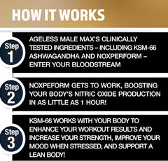 Ageless Male Max KSM-66 ashwagandha capsules showcase potent extract for mood and performance support