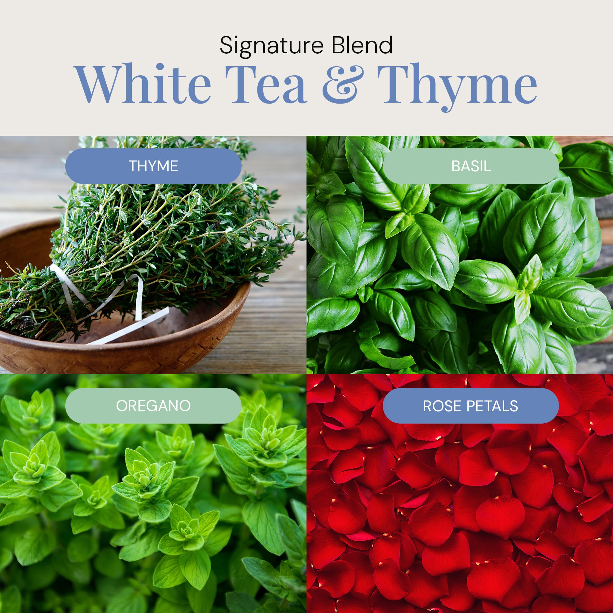 Air Esscentials White Tea & Thyme in a diffuser, versatile scenting.