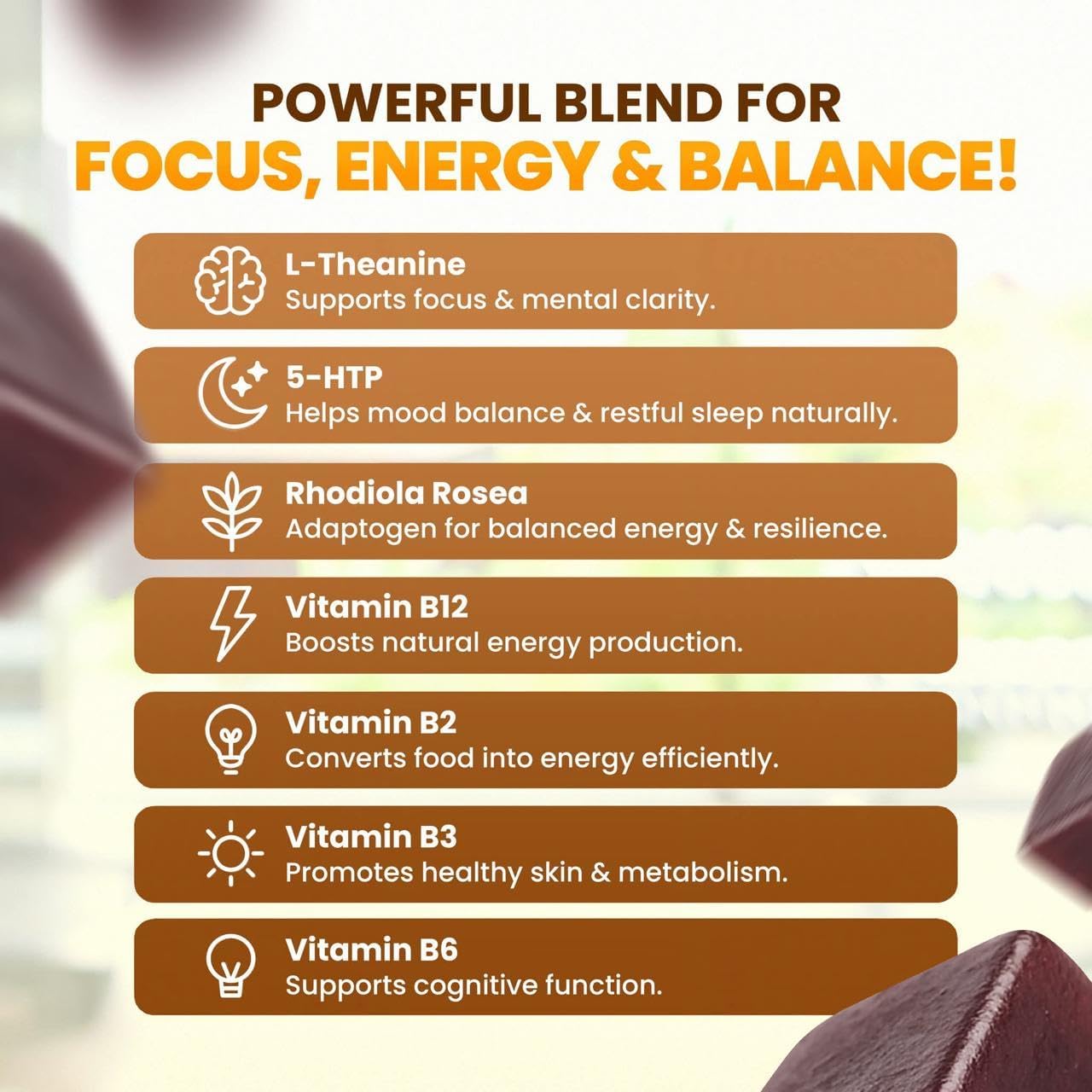 Ajevio organic Lions Mane and Cordyceps ingredients profile for plant-based energy.