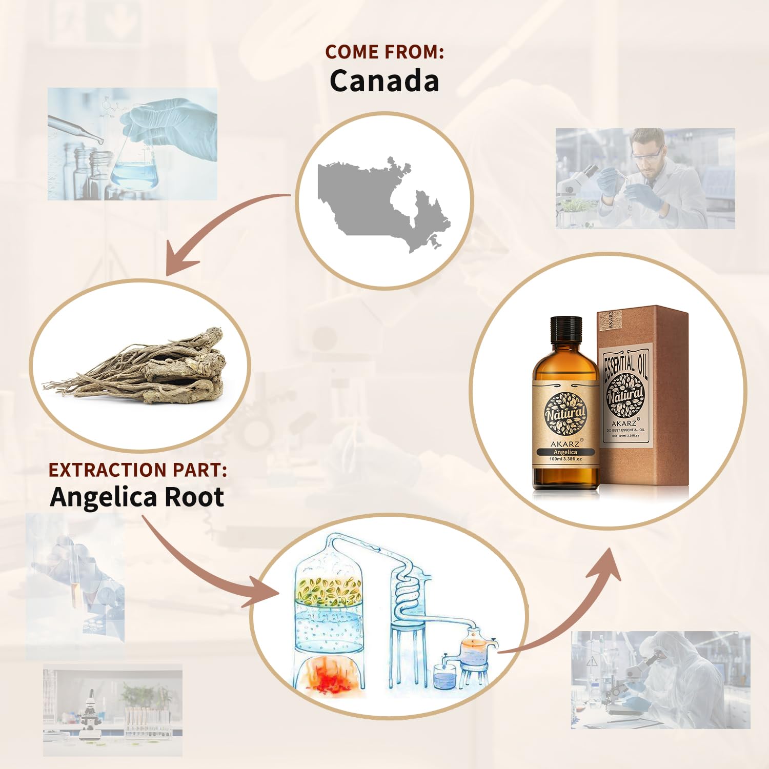 AKARZ Angelica oil bottle showcasing Canadian sourcing for artisanal skincare blends