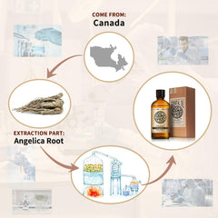 AKARZ Angelica oil bottle showcasing Canadian sourcing for artisanal skincare blends