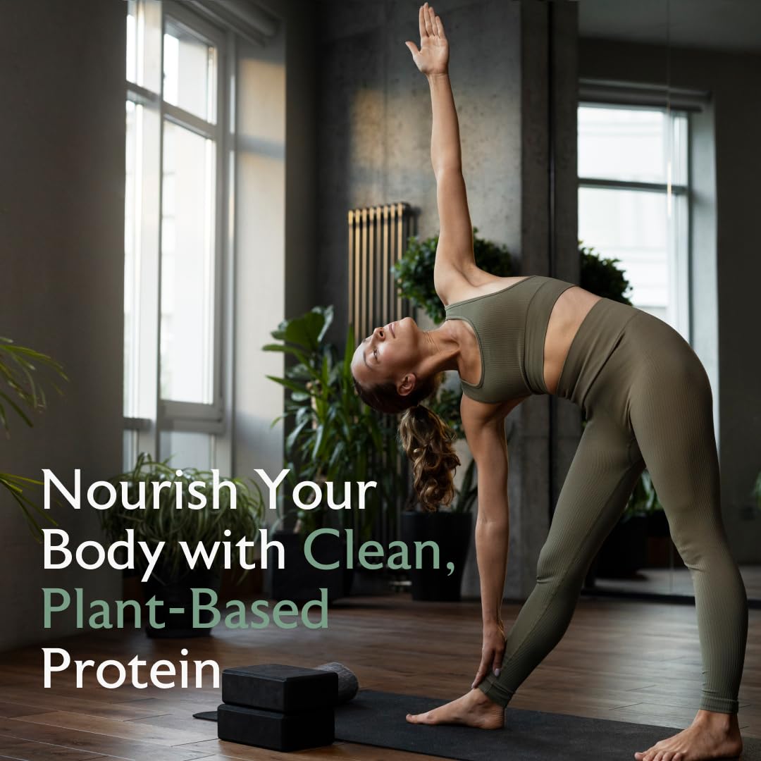 Alaya Naturals protein powder in a bowl with berries and oats illustrating versatile recipe use