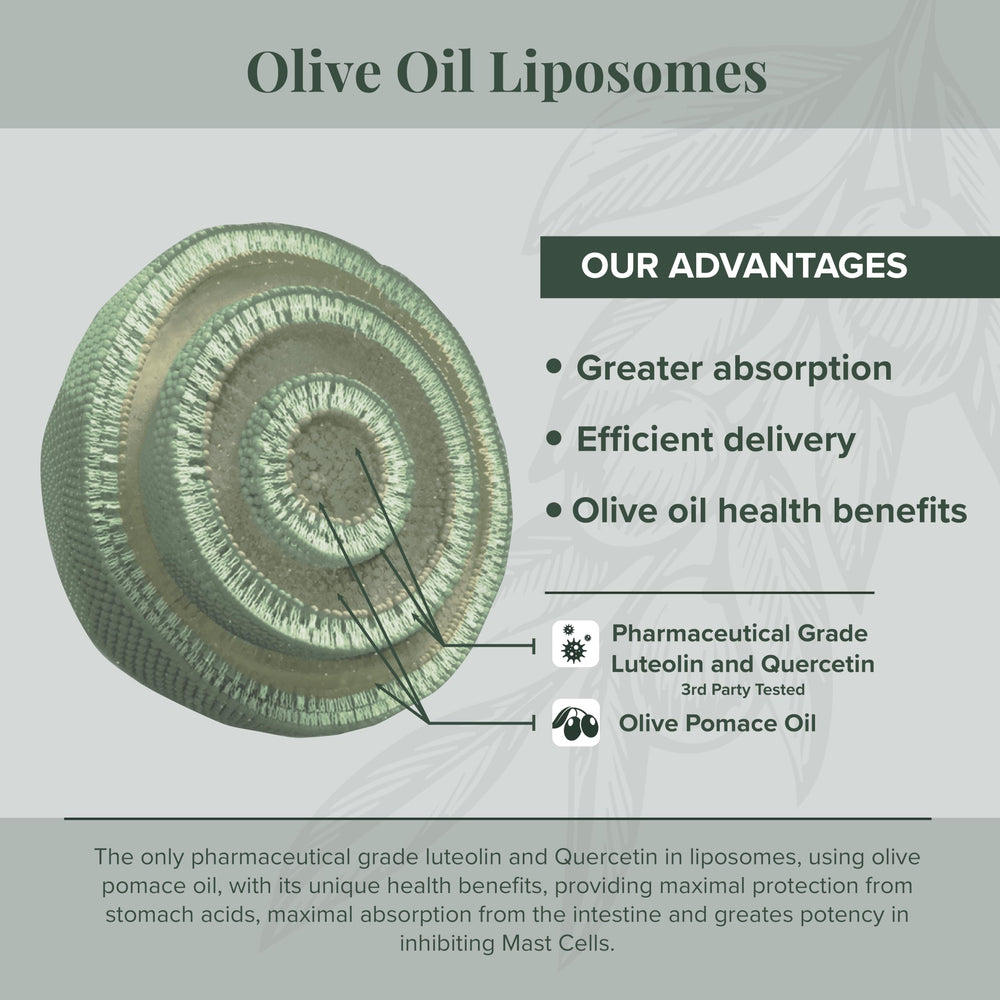 Algonot NeuroProtek Low Phenol olive pomace oil base supports flavonoid absorption