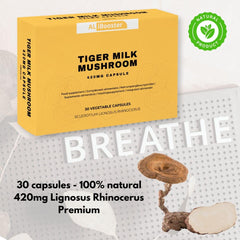 ALIBOOSTER Tiger Milk Mushroom capsules closeup showing standardized extract.