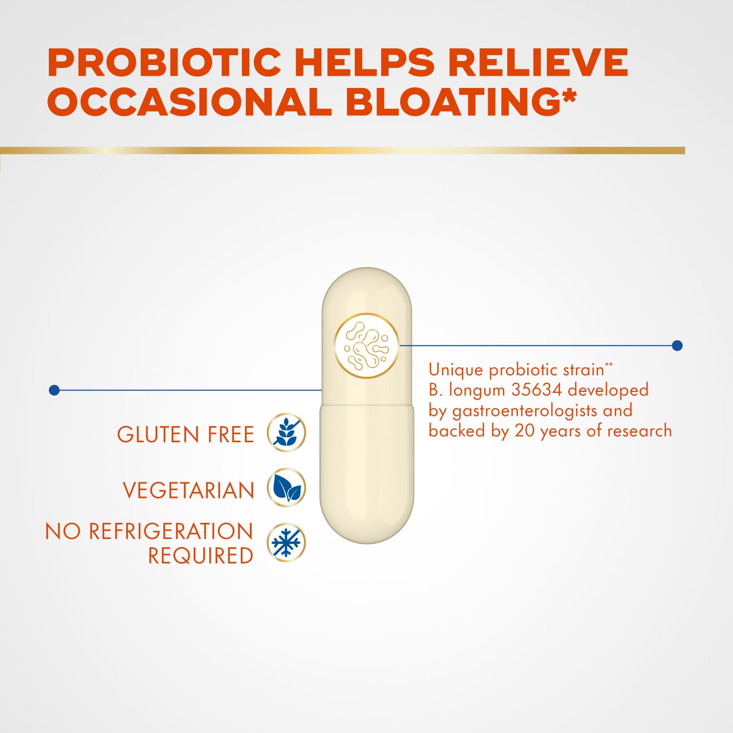 Align B12 digestion support illustration suggests energy from fats and proteins