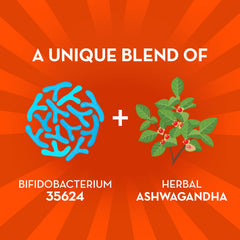Align Probiotic Digestive De-Stress bottle-back highlighting potency and labeling details.
