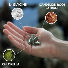 AlkaDetox glycine ingredient highlighting gentle detox interactions.