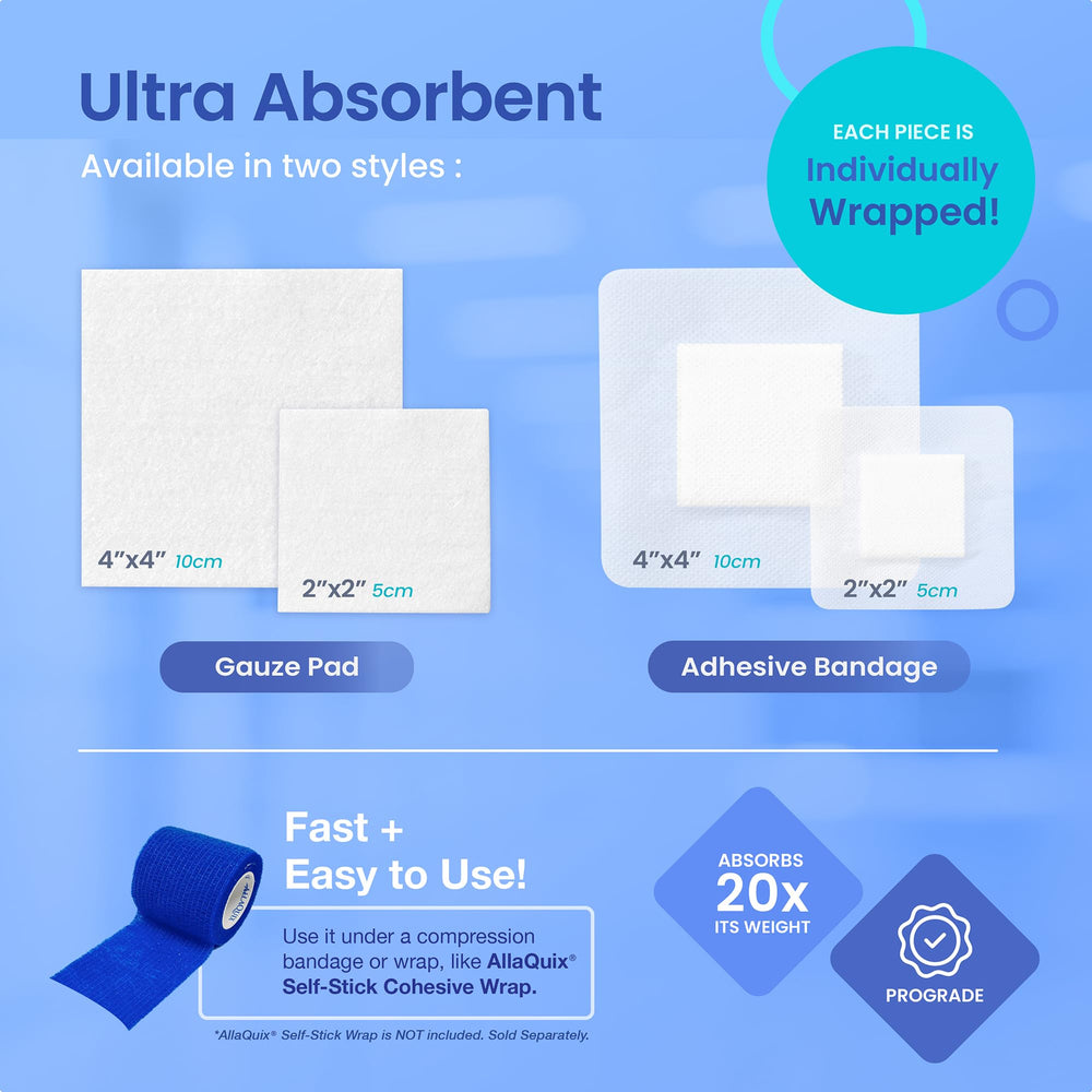 AllaQuix Lite vs High-Performance options shown side by side