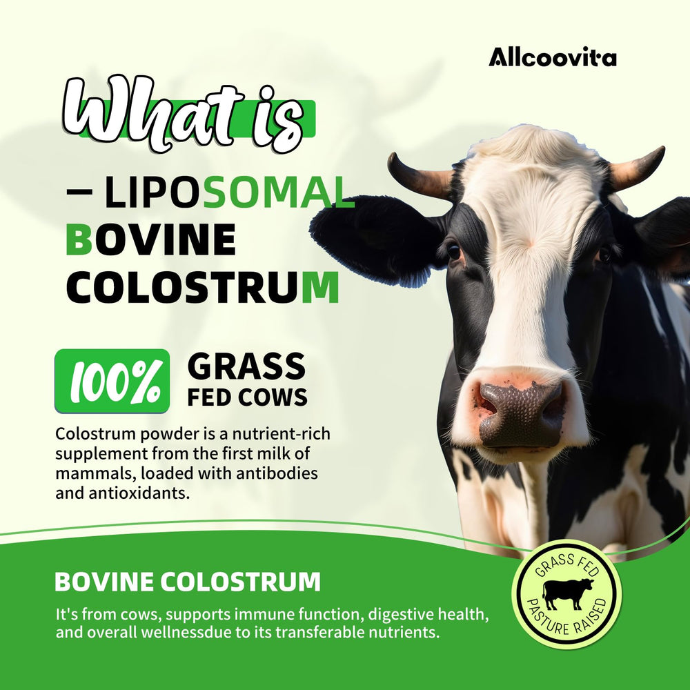 Allcoovita colostrum powder dissolves thoroughly when mixed for smooth, consistent intake.