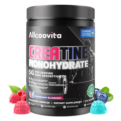 Allcoovita Creatine Gummy bottle with raspberry and blueberry flavor for on-the-go focus