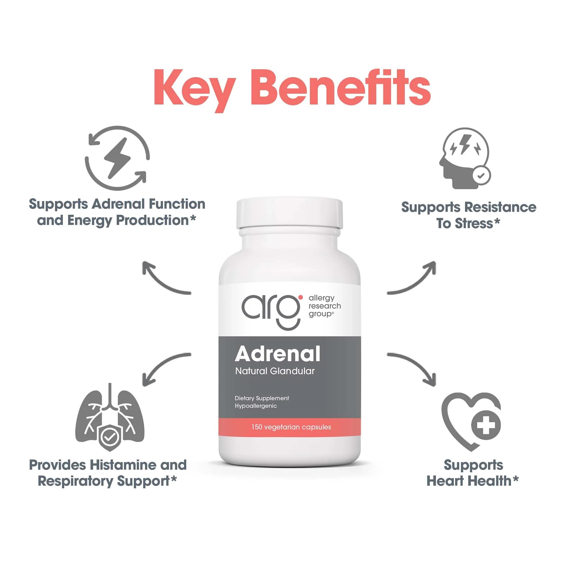 Allergy Research Group ARG Adrenal Cortex freeze-dried tissue close-up highlighting bioactive source