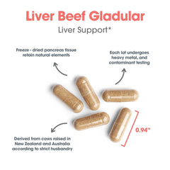 Beef liver 1000mg label close-up from Allergy Research Group.