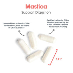 Allergy Research Group mastic gum ingredients panel emphasizes minerals per capsule
