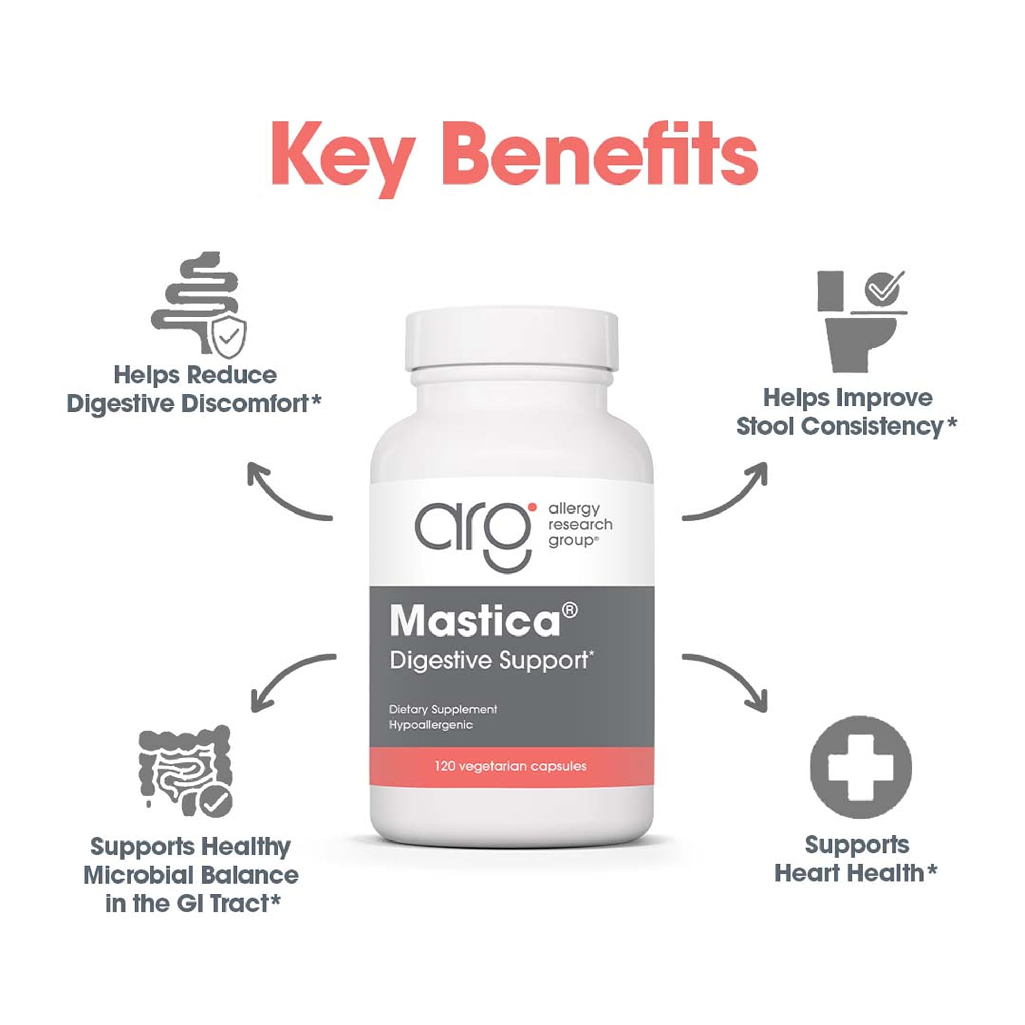 Allergy Research Group Mastica resin powder pouch emphasizes authentic ingredients
